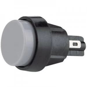 Marquardt 5000.0103 Pushbutton 250 V AC 4 A 1 x OffOn IP40 momentary