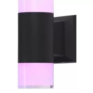 Zinc ASHBY 5W Colour Changing LED Outdoor Downlight with Remote Black