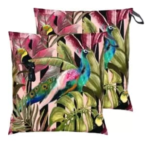 Toucan and Peacock Large 70cm Outdoor Floor Twin Pack Cushion Multi