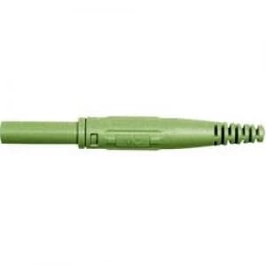 Jack socket Socket straight Pin diameter 4mm Green Staeubli