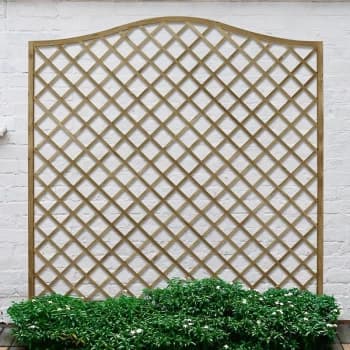 Forest 6' x 6' Pressure Treated Europa Hamburg Decorative Garden Screen Panel (1.8m x 1.8m) - Pressure treated