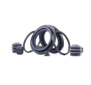 RIDEX Brake Caliper Repair Kit VW,MERCEDES-BENZ,NISSAN 405R0171 2E0698471 Caliper Repair Kit,Brake Caliper Rebuild Kit,Repair Kit, brake caliper