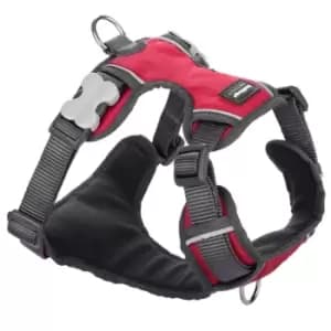 Red Dingo Padded Dog Harness - Medium (20mm) / Red