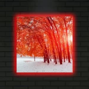 4040DACT-14 Multicolor Decorative LED Lighted Canvas Painting