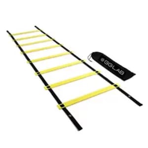 GG Lab Lab Coordination Training Ladder - Multi
