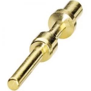 Coninvers 1605750 SM 36KP006 Gold