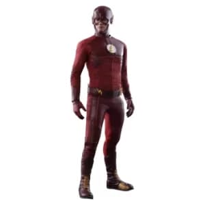Hot Toys The Flash Action Figure 1/6 The Flash 31cm