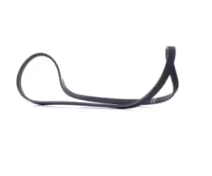 Bosch V-ribbed belt OPEL,FORD,RENAULT 1 987 947 809 60551888,ADU7786,GMB40966 96416336,575057,5750H1,6455B2,91508762,91536703,46411595,46456894,575057