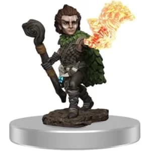 Pathfinder Painted Premium Male Gnome Druid