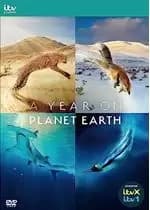 A Year on Planet Earth