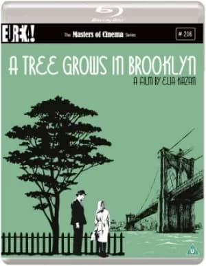A Tree Grows In Brooklyn