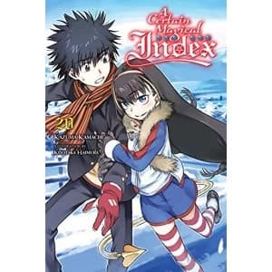 A Certain Magical Index, Vol. 20 (light novel)