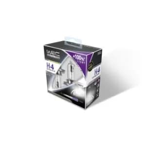 WRC Light Bulbs VW,AUDI,MERCEDES-BENZ 007358 Bulb, spotlight