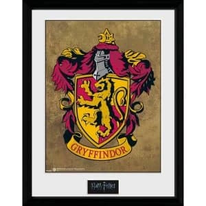 Harry Potter Gryffindor 30 x 40cm Collector Print