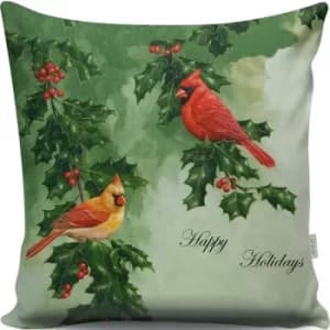 A13061 Multicolor Cushion