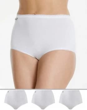 Playtex Cherish 3Pack Maxi Briefs - NEW