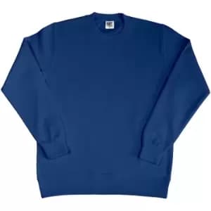 SG Ladies/Womens Crew Neck Long Sleeve Sweatshirt (S) (Navy Blue)