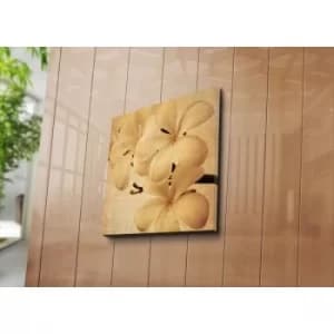 4545C-88 Multicolor Decorative Canvas Painting