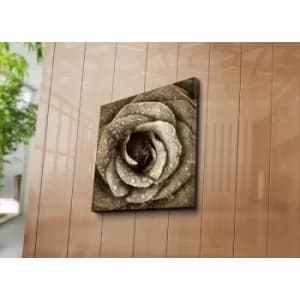 4545C-91 Multicolor Decorative Canvas Painting