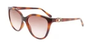 Salvatore Ferragamo Sunglasses SF 1056S 240
