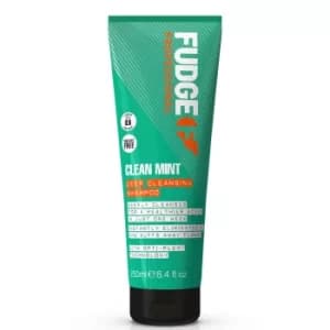 Clean Mint Shampoo 250ml