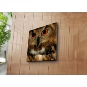 4545NAT-44 Multicolor Decorative Canvas Painting