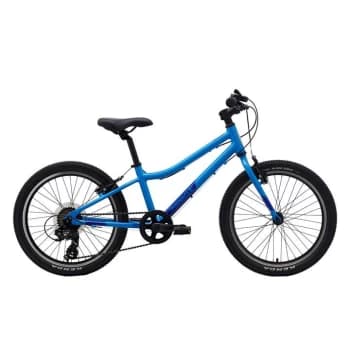 Pinnacle Ash 20" Kids Bike - Blue