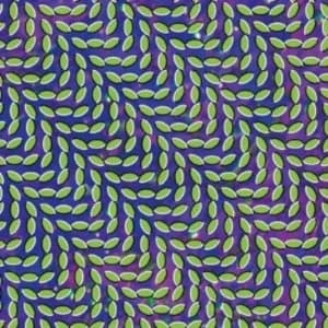 Animal Collective - Merriweather Post Pavilion Vinyl