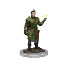 D&D Icons of the Realms Premium Figures (W7) Male Half-Elf Bard