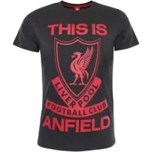 Liverpool FC Mens This Is Anfield T-Shirt (S) (Charcoal/Red)