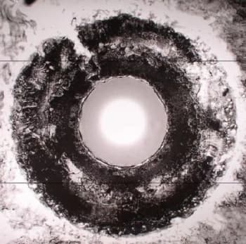 Bastards Of Fate - Suck the Light Out Vinyl