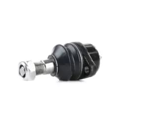 RIDEX Ball joint VW 2462S0142 281407361B,281407361B,281407361B 281407361,281407361B