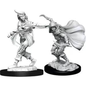 Pathfinder Battles Deepcuts Unpainted Miniatures (W14) Human Rogue Female