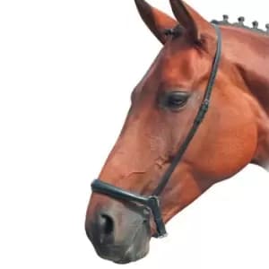 Shires Blenheim Drop Noseband - Brown