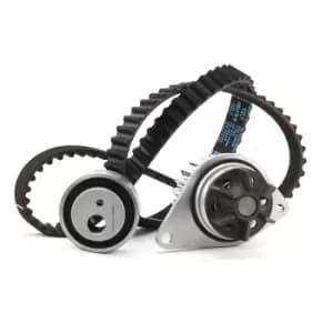 DOLZ Water Pump + Timing Belt Kit Teeth Quant.: 108 KD026 PEUGEOT,CITROEN,206 Schragheck (2A/C),307 (3A/C),206 SW (2E/K),106 II Schragheck (1A_, 1C_)
