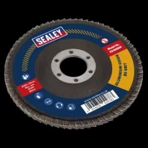 Flap Disc Aluminium Oxide 100mm 16mm Bore 80Grit
