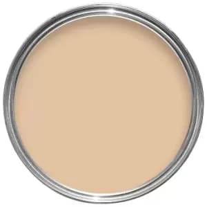 Dulux Weathershield All Weather Protection Cornish Cream Smooth Masonry Paint 250ml