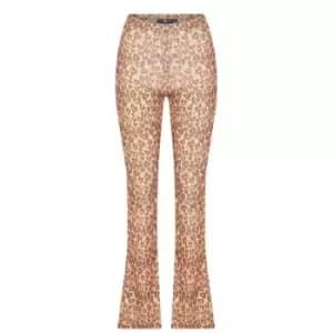 Daisy Street Becky Flares - Brown