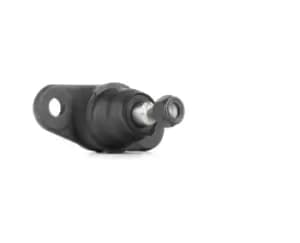 RIDEX Ball joint 2462S0169 Suspension ball joint,Suspension arm ball joint HYUNDAI,KIA,ACCENT III Stufenheck (MC),ACCENT III (MC)