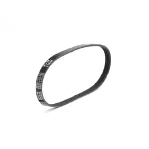 MEYLE V-ribbed belt FIAT,PEUGEOT,CITROEN 050 004 0698 5750G8,5750SQ,91536222 93501676,93502487,46517851,46527552,46787904,71719039,8941374780,MD300587