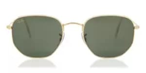 Ray-Ban Sunglasses RB3548 919631