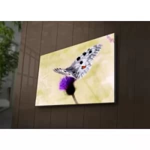 4570?ACT-67 Multicolor Decorative LED Lighted Canvas Painting