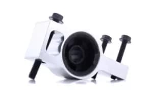 RIDEX Arm Bushes VW,AUDI,SEAT 251T0544 3C0199231A,3C0199231AS1,3C0199231B Suspension Bushes,Wishbone Bushes,Control Arm-/Trailing Arm Bush,3C0199231D