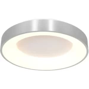 Sienna Ring Sled Cylindrical Ceiling Light Geborsteld Zilver
