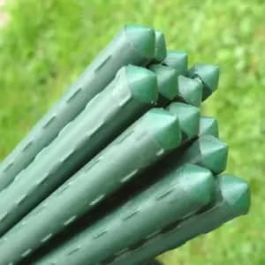 Plant Stake Bundle - 0.75m Long x 11mm o (pack of 20)