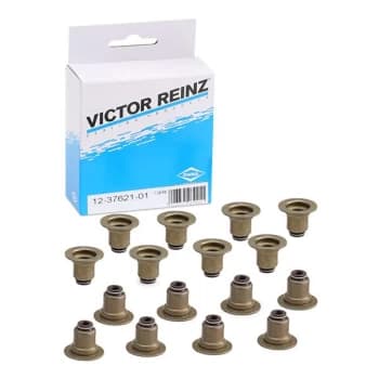REINZ Seal Set, valve stem BMW,OPEL,PEUGEOT 12-37621-01 0033950,11340033950,095660 0033950,11340033950,3556077,095660