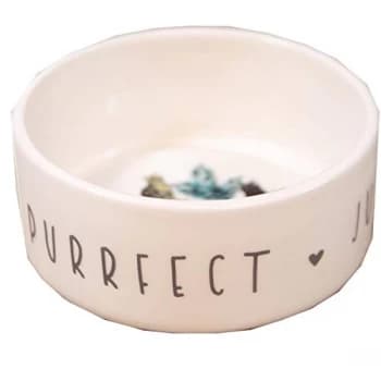 Best of Breed Ceramic Pet Bowl - Cat