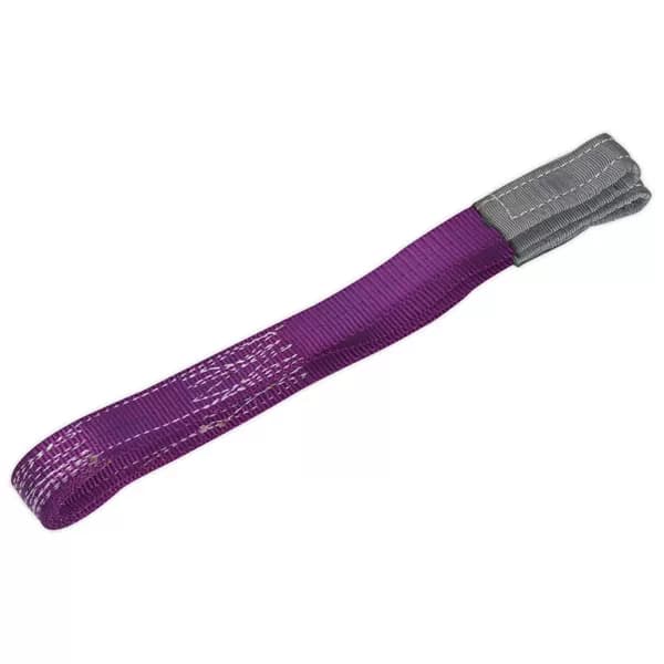 Sealey LS1001 Load Sling 1tonne Capacity 1mtr