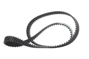 DAYCO Timing Belt FIAT,PEUGEOT,CITROEN 94840 081696,0816A9,96261574 Cam Belt,Toothed Belt 9626157480,96290822,9629082280,9400816969,9463380680,081696