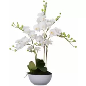White Orchid Plant with White Ceramic Pot - Premier Housewares